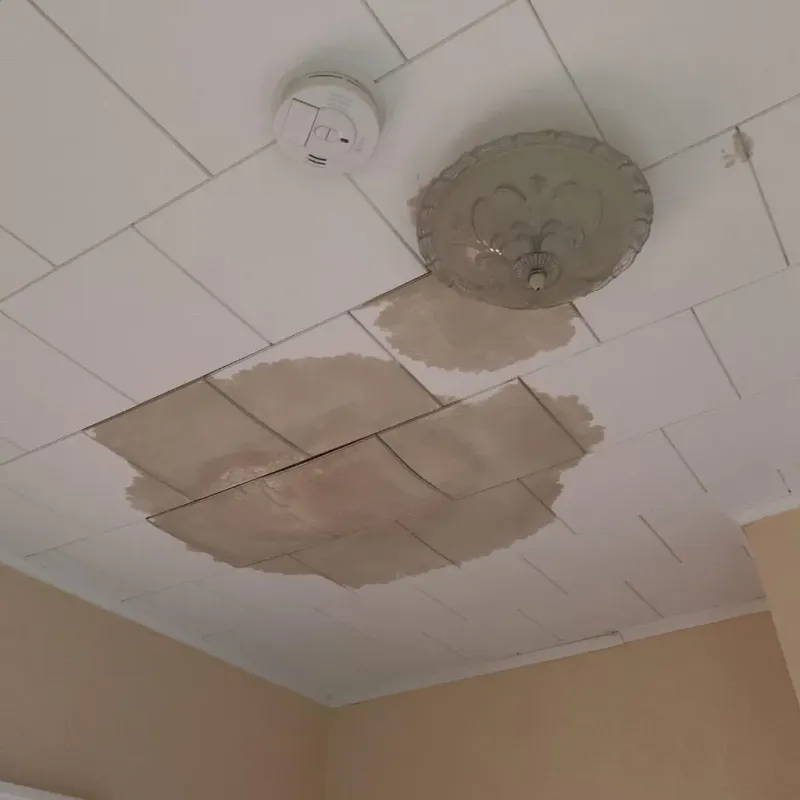 Ceiling Water Damage Repair in Robbins, IL
