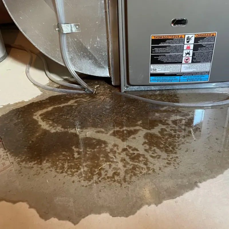 Pipe Burst and Leak Restoration in Robbins, IL