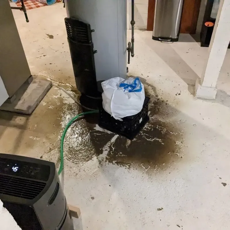 Sewage Backup Cleanup Service in Robbins, IL